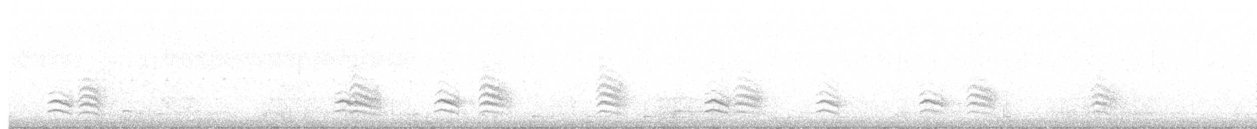 Weißbrustkleiber (aculeata/alexandrae) - ML283643451