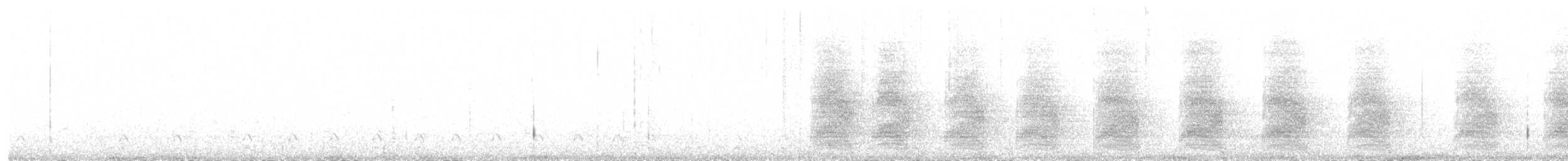 furuskrike (stelleri gr.) - ML283676141
