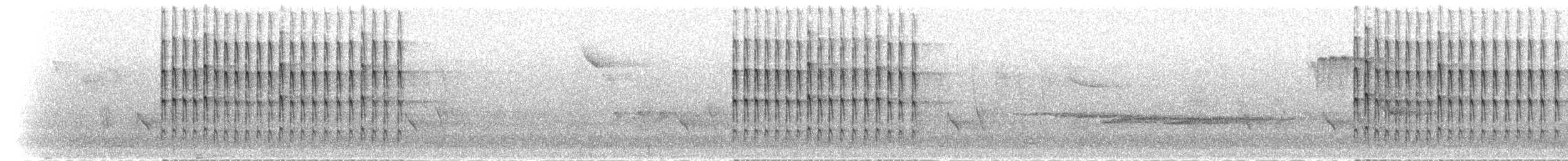 ferskenspett - ML283745