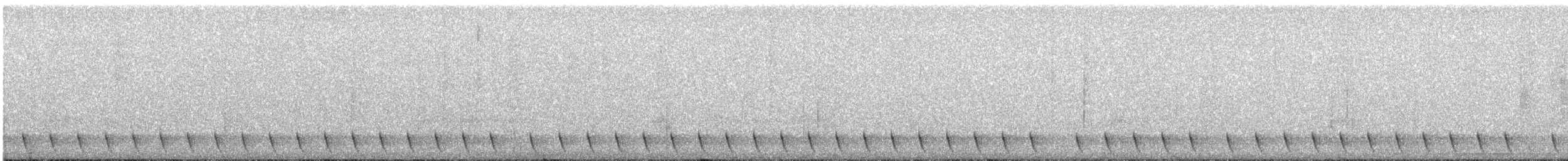 Gray Nightjar - ML28376661