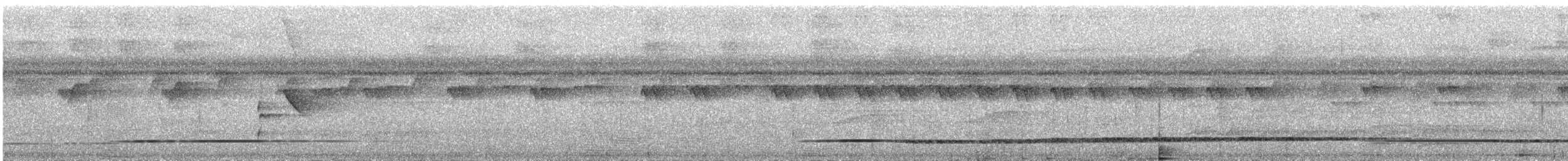 Красногрудый скрытохвост - ML283811751