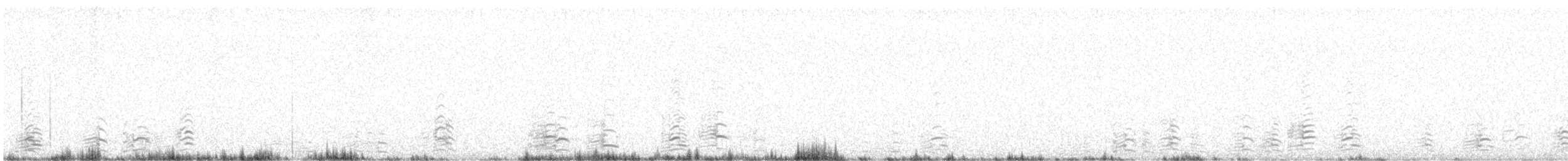 Малая канадская казарка - ML283813061