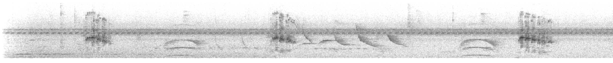 Güneyli Bıyıksız Tiranulet [obsoletum grubu] - ML283837751