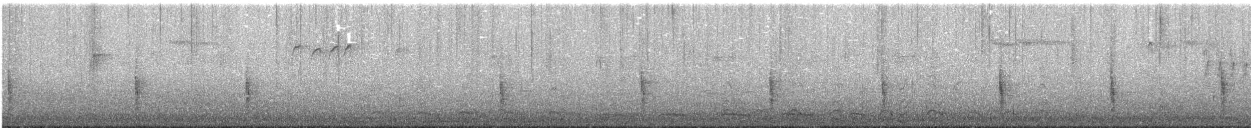 Zanate Canadiense - ML283866501