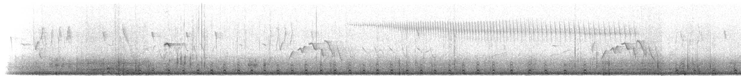 Schneetaube - ML284059