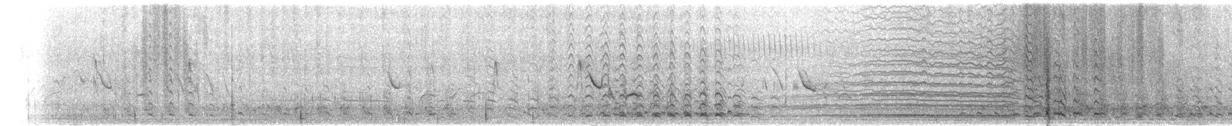 Schneetaube - ML284062