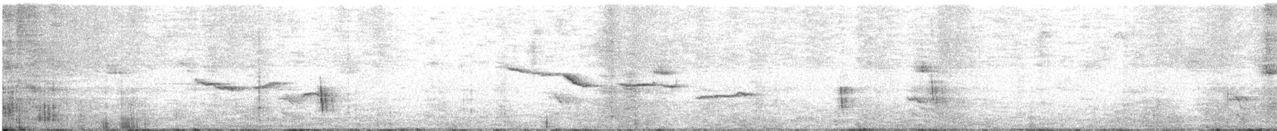 Дрізд-короткодзьоб плямистоволий - ML284129651