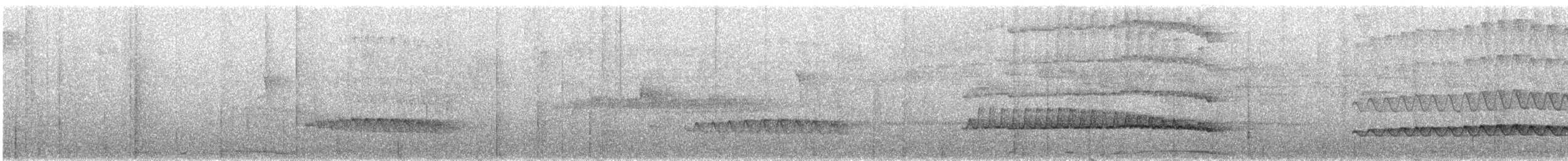 Кокоа плямистий [група aequatorialis] - ML284136981
