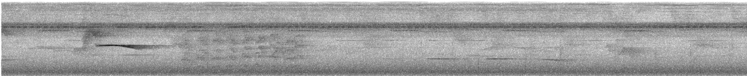 Tinamou de Berlepsch - ML284150961