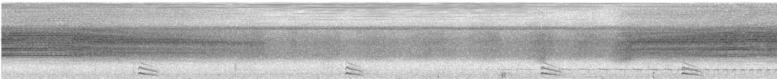 Slaty-tailed Trogon (Chapman's) - ML284156711