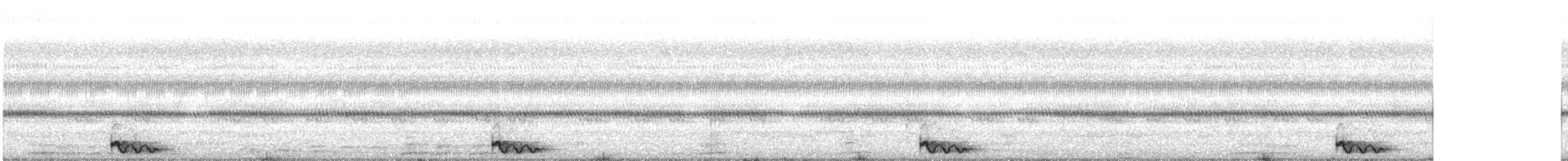 Chotacabras Marajá - ML284170511