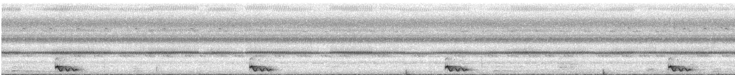 Chotacabras Marajá - ML284170951