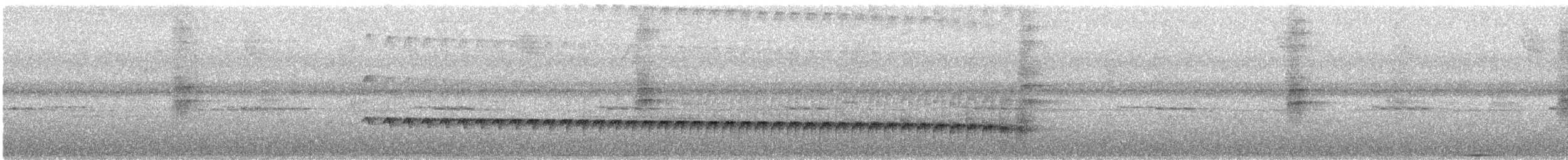 Weißstirn-Ameisenschnäpper - ML284173491