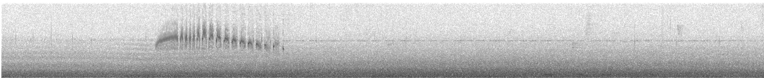 カタジロアマツバメ - ML284175561