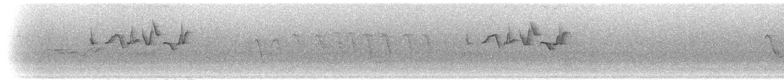 Серогорлая зарничка - ML284182