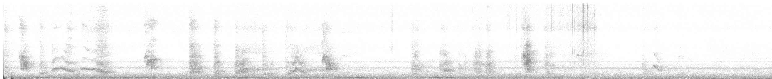 Папужка хвилястий (домашній тип) - ML284226141