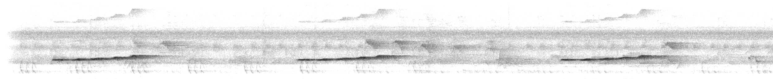 Вилохвостая дронговая кукушка - ML284246