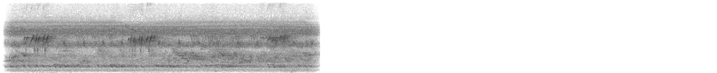 Minivet rose - ML284256