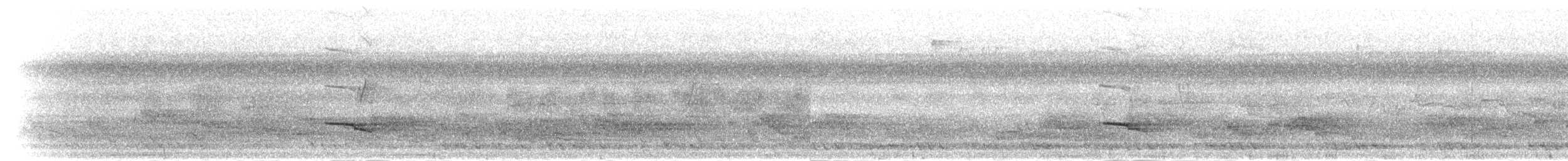 Gray-lored Broadbill - ML284258