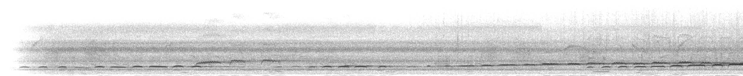 Зозуля білогорла - ML284260
