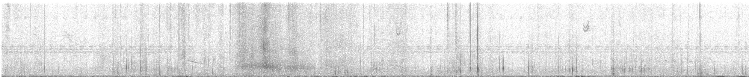Eurasian Collared-Dove - ML284267691