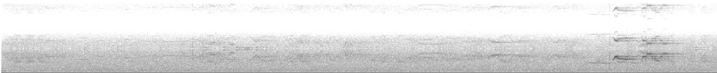 Дрізд-короткодзьоб плямистоволий - ML284268771