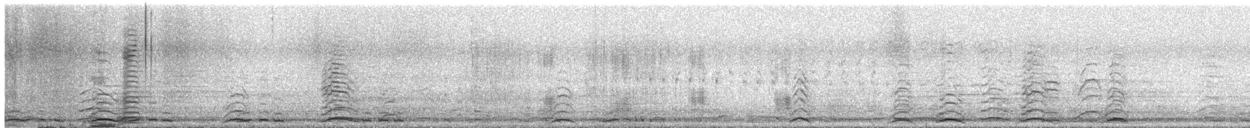 Cygne trompette - ML284297751