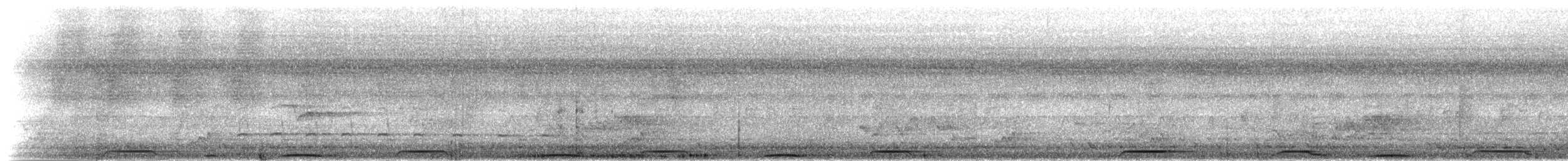 holub ostroocasý - ML284299