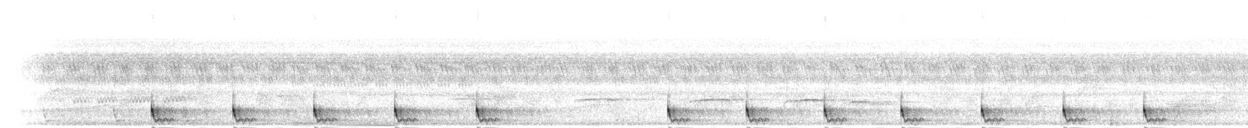 Large-tailed Nightjar - ML284306