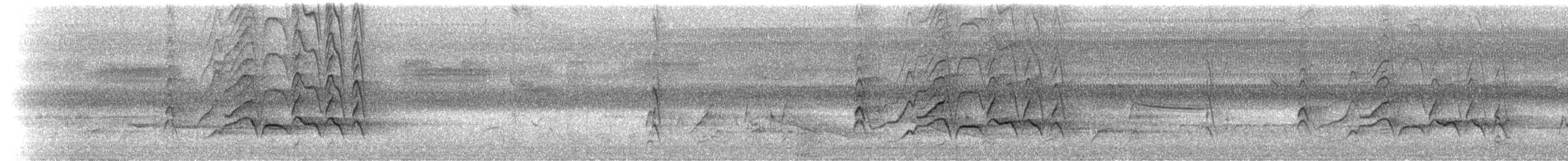 Kara Karınlı Islıkçı Ördek - ML28431611