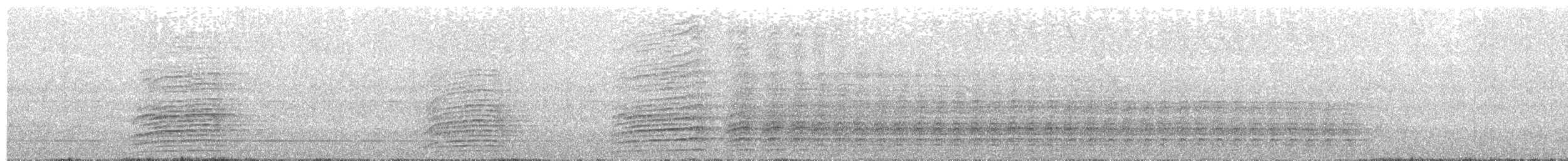 Sri Lanka Gray Hornbill - ML284363291