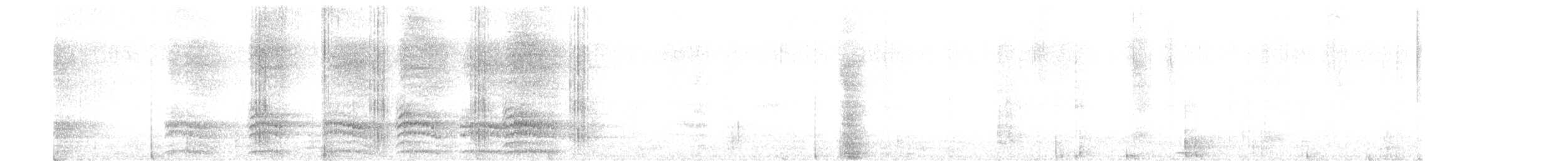 datel magellanský - ML284412781