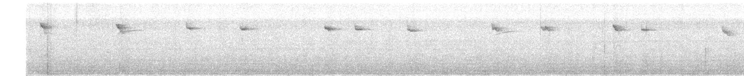 Stachelschwanzschlüpfer - ML284420791