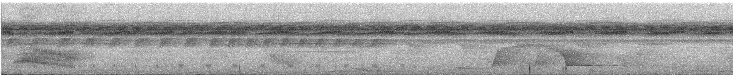 Rotspiegel-Ameisenvogel - ML284436181