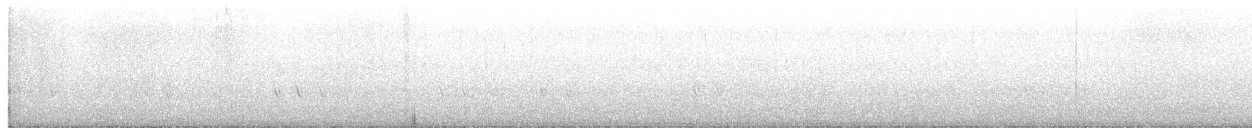 Piquituerto Común - ML284450311