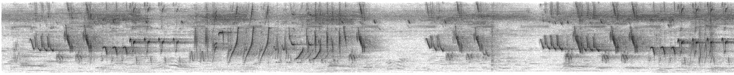 Weißbrauenstelze - ML284592871