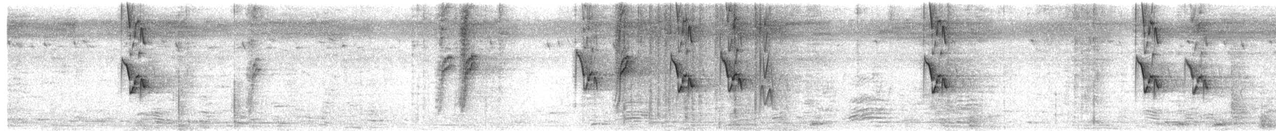 Weißbrauenstelze - ML284593001