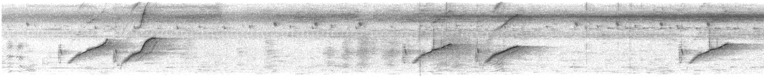 Weißbrauenstelze - ML284593011