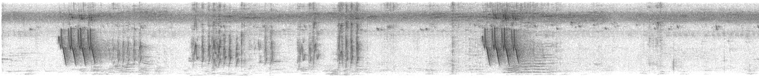 Weißbrauenstelze - ML284593071