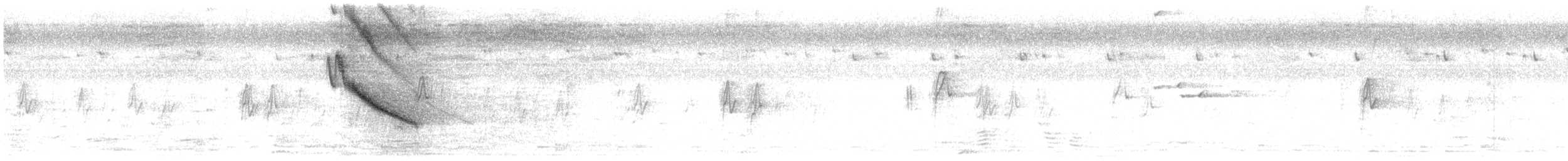 Weißbrauenstelze - ML284593121