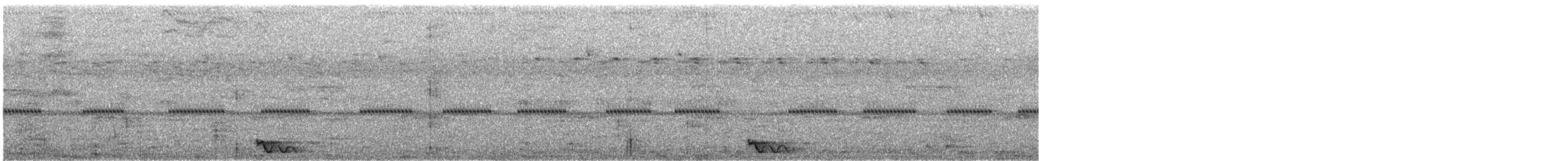 Chotacabras Marajá - ML284593451