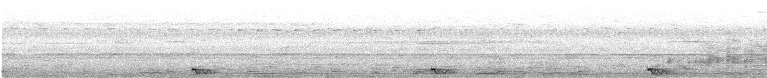 Chotacabras Marajá - ML284593461