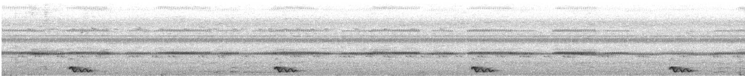 Chotacabras Marajá - ML284593761