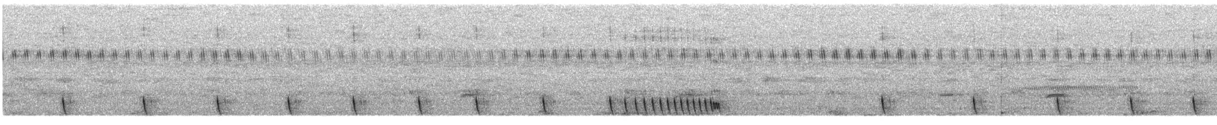 Indiennachtschwalbe - ML284594571