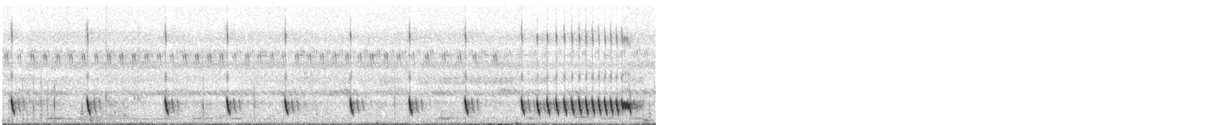 Indiennachtschwalbe - ML284601121