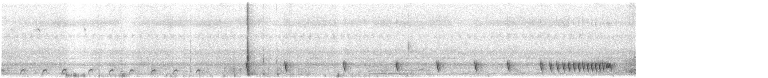 Indiennachtschwalbe - ML284601131