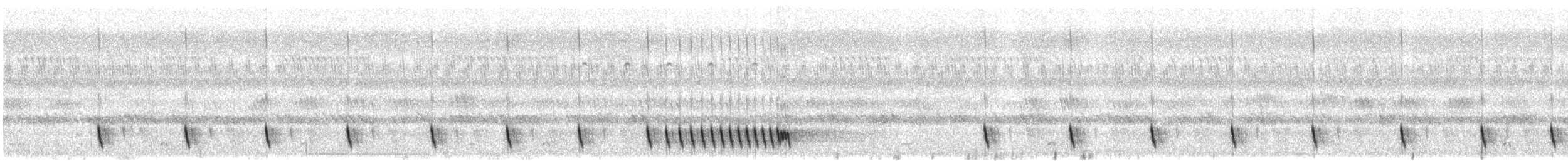 Indiennachtschwalbe - ML284601371