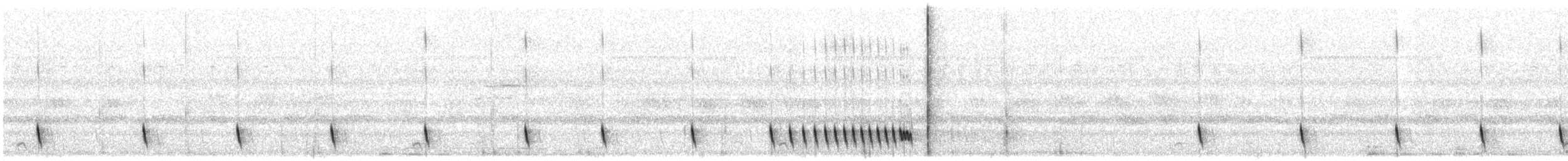 Indiennachtschwalbe - ML284601491