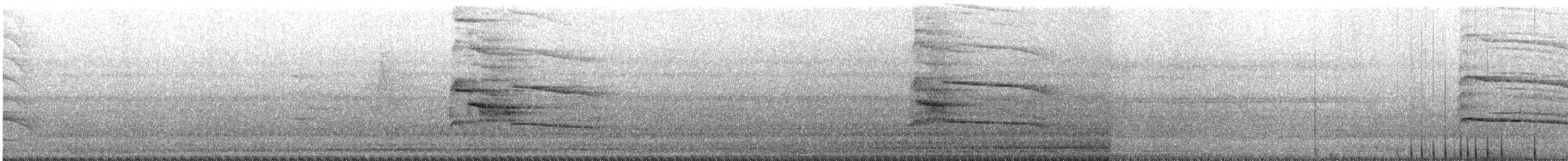 Indian Gray Hornbill - ML284624521