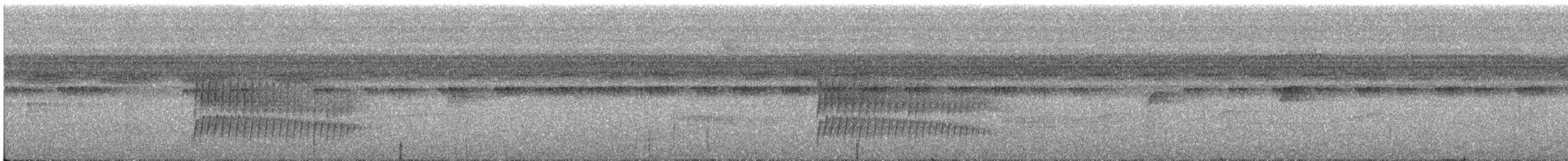 Bürzelbinden-Ameisenfänger - ML284648121